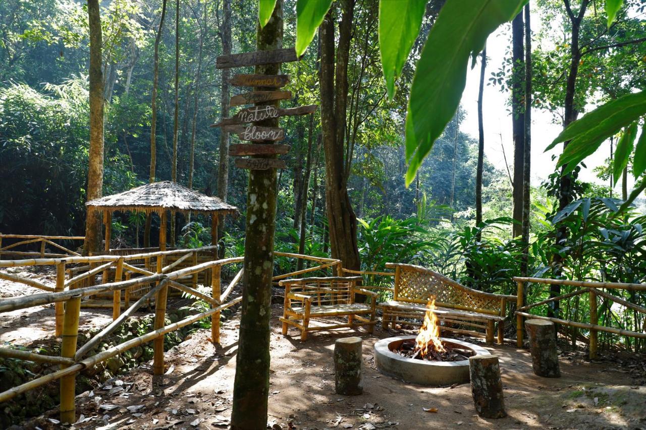 Casillda Munnar Hotell Eksteriør bilde
